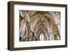 Vaulting in Rosslyn Chapel, Roslin, Midlothian, Scotland, United Kingdom-Nick Servian-Framed Photographic Print