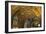 Vaults, Cathedral of Seville-null-Framed Giclee Print