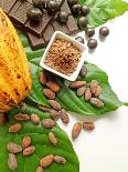 Cocoa Pod With Cocoa Beans, Powder, And Chocolates-vd808bs-Mounted Photographic Print