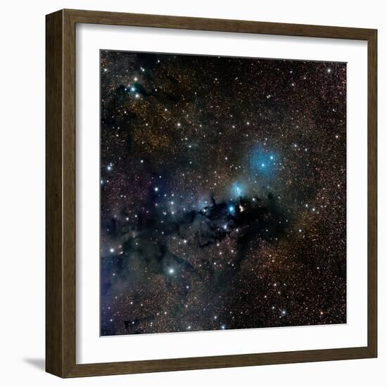 Vdb 123 Reflection Nebula in the Constellation Serpens-null-Framed Photographic Print