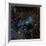 Vdb 123 Reflection Nebula in the Constellation Serpens-null-Framed Photographic Print