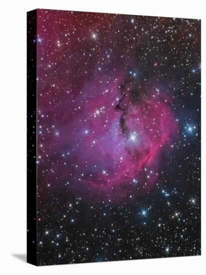 Vdb 93 Is an Emission and Reflection Nebula in Canis Major-null-Stretched Canvas