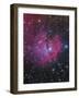 Vdb 93 Is an Emission and Reflection Nebula in Canis Major-null-Framed Photographic Print