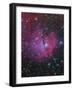 Vdb 93 Is an Emission and Reflection Nebula in Canis Major-null-Framed Photographic Print