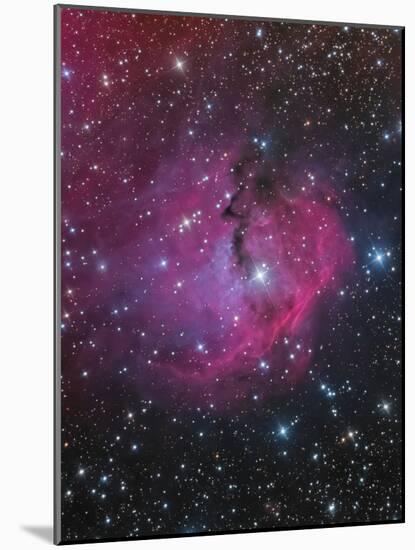 Vdb 93 Is an Emission and Reflection Nebula in Canis Major-null-Mounted Photographic Print