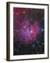 Vdb 93 Is an Emission and Reflection Nebula in Canis Major-null-Framed Photographic Print