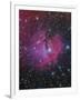 Vdb 93 Is an Emission and Reflection Nebula in Canis Major-null-Framed Photographic Print