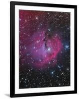 Vdb 93 Is an Emission and Reflection Nebula in Canis Major-null-Framed Photographic Print