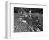 Ve Day Revelers Outside Buckingham Palace-null-Framed Photographic Print