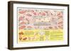 Veal Cuts Chart-null-Framed Art Print