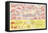 Veal Cuts Chart-null-Framed Stretched Canvas