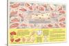 Veal Cuts Chart-null-Stretched Canvas