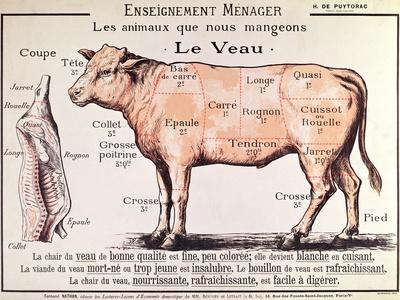 https://imgc.allpostersimages.com/img/posters/veal-diagram-depicting-the-different-cuts-of-meat_u-L-Q1HFG150.jpg?artPerspective=n