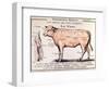 Veal: Diagram Depicting the Different Cuts of Meat-French School-Framed Giclee Print