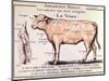 Veal: Diagram Depicting the Different Cuts of Meat-French School-Mounted Giclee Print