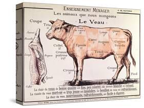 Veal: Diagram Depicting the Different Cuts of Meat-French School-Stretched Canvas