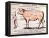 Veal: Diagram Depicting the Different Cuts of Meat-French School-Framed Stretched Canvas