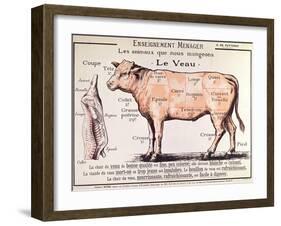 Veal: Diagram Depicting the Different Cuts of Meat-French School-Framed Giclee Print