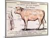 Veal: Diagram Depicting the Different Cuts of Meat-French School-Mounted Giclee Print