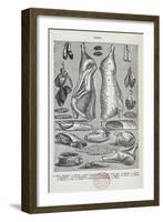 Veal. Various Cuts and Joints Of Veal-Isabella Beeton-Framed Giclee Print