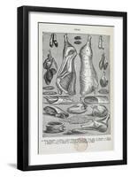 Veal. Various Cuts and Joints Of Veal-Isabella Beeton-Framed Giclee Print