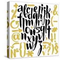 Vector Alphabet. Hand Drawn Letters. Letters of the Alphabet Written with a Brush.-veraholera-Stretched Canvas