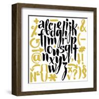 Vector Alphabet. Hand Drawn Letters. Letters of the Alphabet Written with a Brush.-veraholera-Framed Art Print