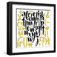 Vector Alphabet. Hand Drawn Letters. Letters of the Alphabet Written with a Brush.-veraholera-Framed Art Print