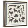 Vector Animals Set-vector pro-Framed Premium Giclee Print