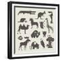 Vector Animals Set-vector pro-Framed Premium Giclee Print