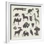 Vector Animals Set-vector pro-Framed Premium Giclee Print