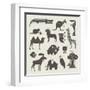 Vector Animals Set-vector pro-Framed Art Print