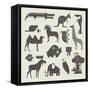 Vector Animals Set-vector pro-Framed Stretched Canvas