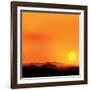 Vector Background of the African Landscape Sunset-shapket-Framed Art Print