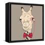 Vector Closeup Portrait of Funny Camel Hipster-kavalenkava volha-Framed Stretched Canvas