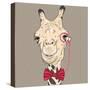 Vector Closeup Portrait of Funny Camel Hipster-kavalenkava volha-Stretched Canvas