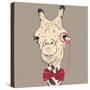 Vector Closeup Portrait of Funny Camel Hipster-kavalenkava volha-Stretched Canvas
