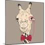 Vector Closeup Portrait of Funny Camel Hipster-kavalenkava volha-Mounted Art Print