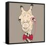 Vector Closeup Portrait of Funny Camel Hipster-kavalenkava volha-Framed Stretched Canvas