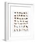 Vector Collection of Animal Icons-Marish-Framed Art Print