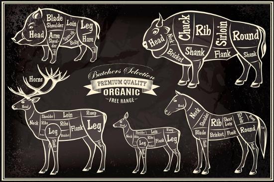 Vector Diagram Cut Carcasses Boar, Bison, Deer, Horse
