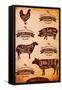 Vector Diagram Cut Carcasses Chicken, Pig, Cow, Lamb-111chemodan111-Framed Stretched Canvas