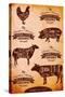Vector Diagram Cut Carcasses Chicken, Pig, Cow, Lamb-111chemodan111-Stretched Canvas