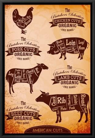 Vector Diagram Cut Carcasses Chicken, Pig, Cow, Lamb