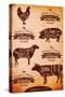 Vector Diagram Cut Carcasses Chicken, Pig, Cow, Lamb-111chemodan111-Stretched Canvas
