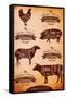 Vector Diagram Cut Carcasses Chicken, Pig, Cow, Lamb-111chemodan111-Framed Stretched Canvas