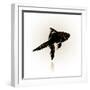 Vector Drawing of the Silhouette Stylized Fish.-Farferros-Framed Art Print