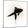 Vector Drawing of the Silhouette Stylized Fish.-Farferros-Mounted Art Print