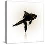 Vector Drawing of the Silhouette Stylized Fish.-Farferros-Stretched Canvas