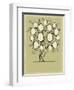 Vector Family Tree Design with Frames and Autumn Leafs. Place for Text-Kynata-Framed Art Print